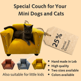 Couch for Cats and Little Dogs