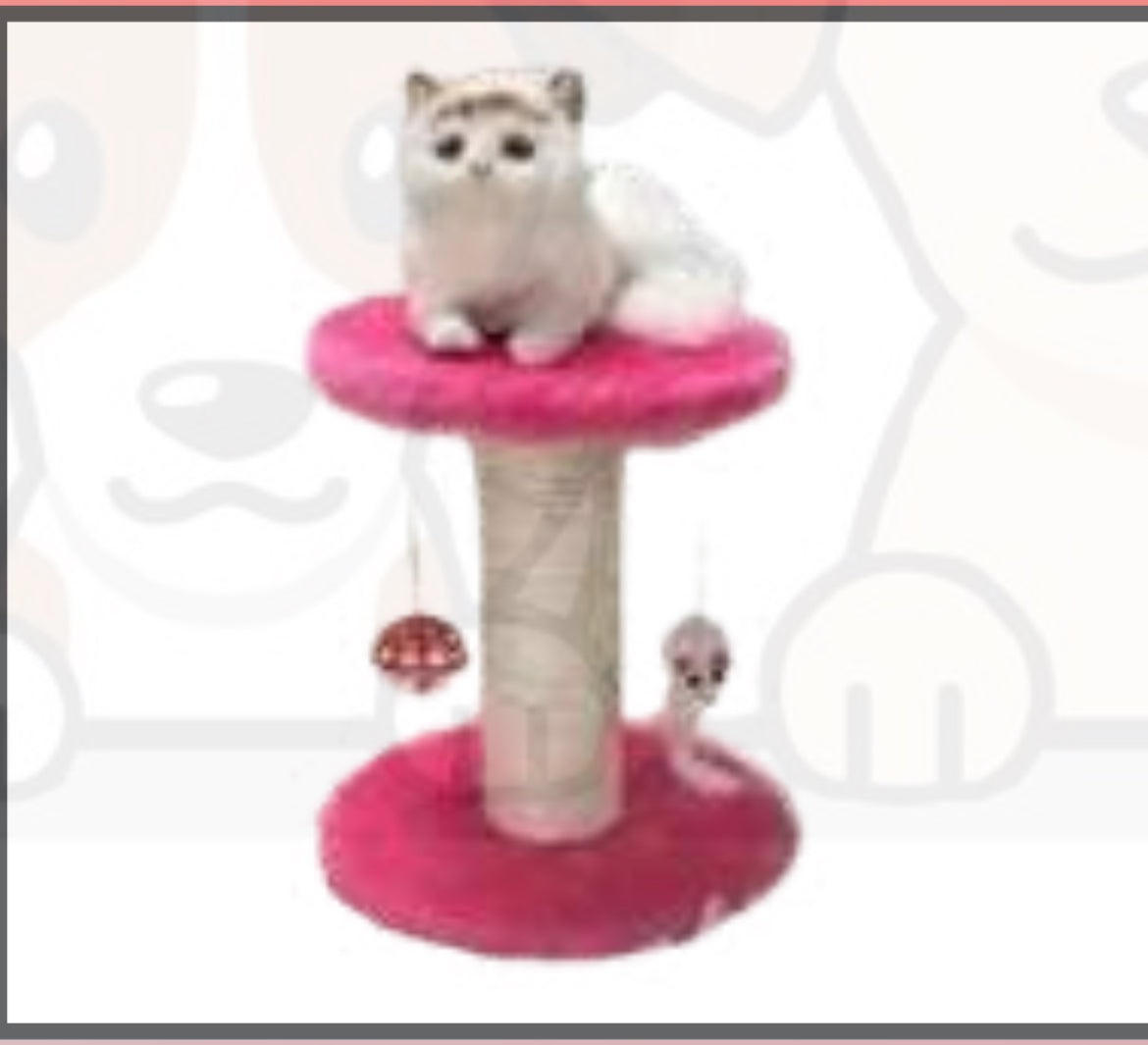 Scratcher 20x20x24 DS54